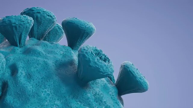 Close-up view of a virus structure showing spikes and surface details in a digital rendering of scientific research.