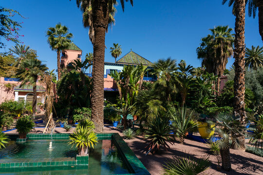 Exploring the vibrant greenery and plants at Majorelle Garden in Marrakech under clear blue skies