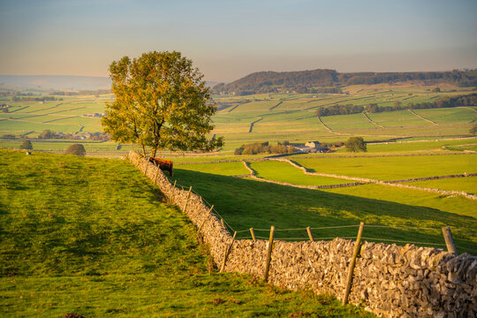 Countryside view near Monsal Dale during autumn in Bakewell, Derbyshire Dales, England, showcasing rolling fields and stone walls