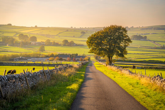 Road leading to Monyash during autumn with fields and trees in Bakewell, Derbyshire Peak District, England