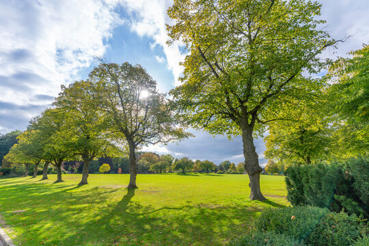 View of trees in Queens Park shows autumn colors in Chesterfield, Derbyshire, England, during the afternoon