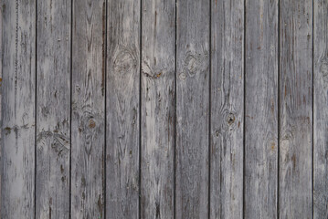 Fototapeta premium Close up stock photo of wooden barn doors with wood grains. Texture of wood. Photography.