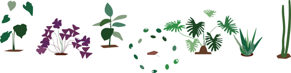 Obraz premium Minimal tropical plant collection, modern botanical foliage illustrations in flat vector style isolated background
