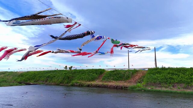 Riverbank Line | Carp Streamers | Spring Nature - 4K Aerial Video

