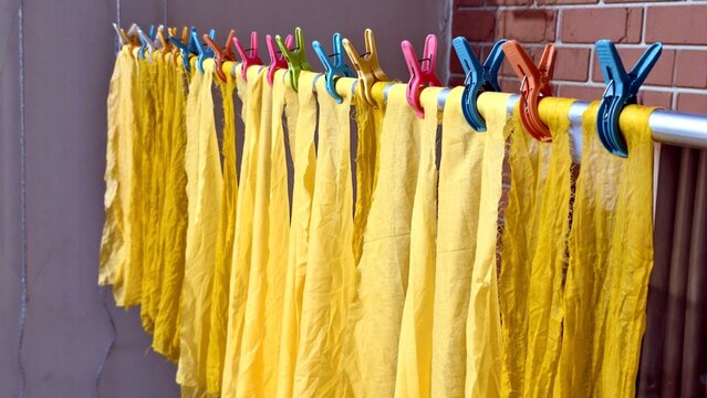 Yellow fabric strips drying on clips, prepared as kaliya for stitching traditional chaniya or ghaghra, showcasing textile processing and ethnic garment craftsmanship.