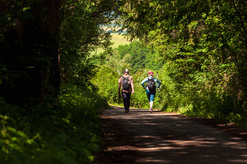 Fototapeta premium young couple walking in the woods. Hike through the forest