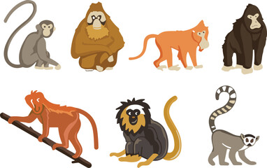Fototapeta premium Monkey and ape collection, cute jungle primates and wildlife animal illustrations in flat vector style isolated background