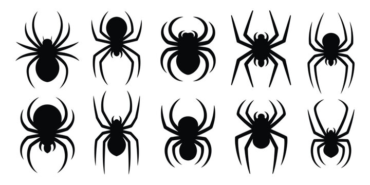 Silhouette of a Spider Stencil Animal Hallo ween symbol tattoo design vector illustration featuring minimal black arachnid icon for spooky horror themed graphic design.