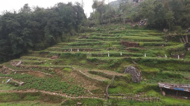 Traditional terrace farming in the Modi river valley in Nepal.