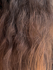 Fototapeta premium Natural wavy brown hair texture with soft copper highlights, detailed closeup for beauty, cosmetics, hairstyling, wellness, fashion, salon advertising, healthy care concept
