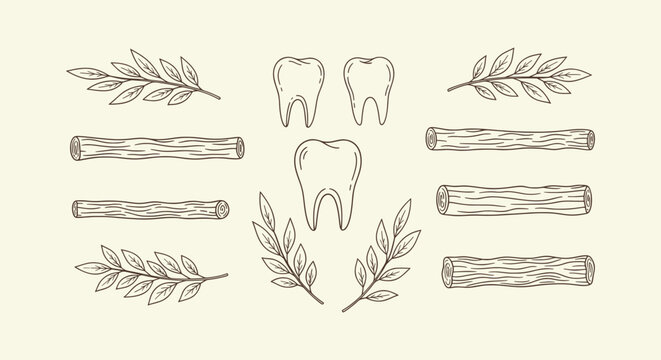 Natural miswak sticks and teeth line art icons for herbal dental hygiene and organic oral care set