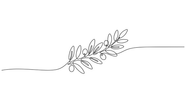 Minimalist single line drawing of an olive branch with leaves and olives isolated on a white background symbolizing peace and nature