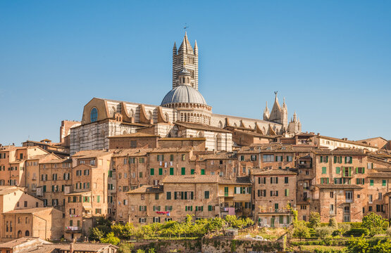 Siena, medieval town in Tuscany view of the Dome and Bell Tower of Siena Cathedral, Basilica of San Domenico, Italy