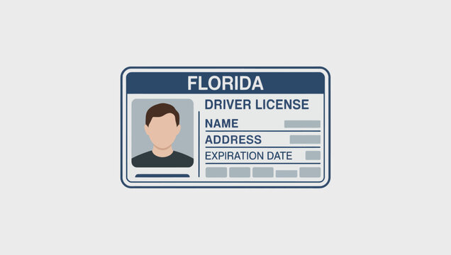 Generic florida driver license card with placeholder personal information and male avatar vector illustration