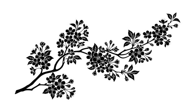 Black sakura blossom branch silhouette vector illustration isolated on white