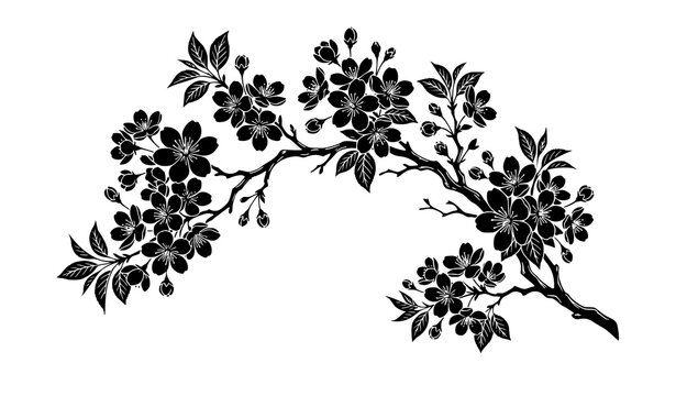 Cherry blossom branch silhouette vector with sakura flowers and buds isolated on white background