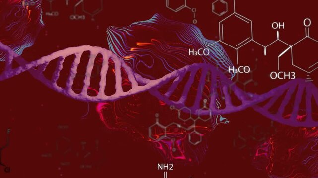 Loop starting purple helix undulating shifting rotating with labels sliding showing molecular links
