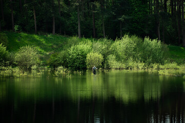 Obraz premium Fisherman fishing in reservoir with green landscape reflections