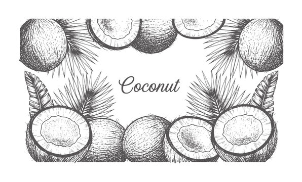 Black and white of coconuts and palm leaves border with text