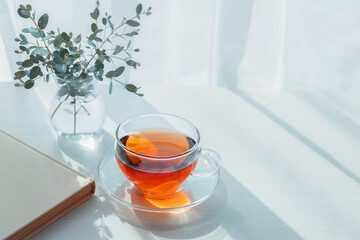 Tea with eucalyptus and soft morning light by the window © 清美 小池