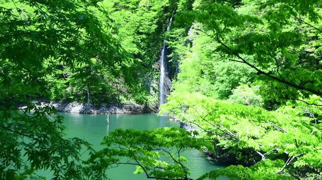 栃木県那須塩原市　塩原渓谷に流れ落ちる回顧の滝