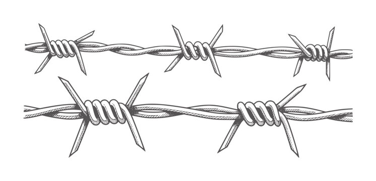 Black and white of twisted barbed wire knots in line