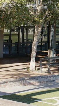 Vertical video: Panning camera revealing shaded seating with benches and trees at turf, windows
