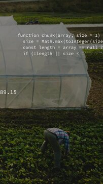 Vertical video: Worker tending crops near hoop, aerial showing code, numbers, icons for farm data