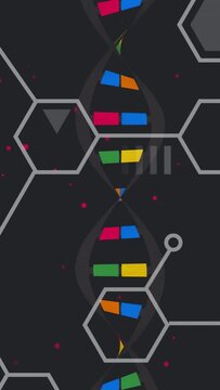 Vertical video: DNA helix on loop, twisting and scrolling as color blocks shifting to show pairs