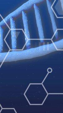 Vertical video: Camera pan triggers DNA helix drifting and rotating to reveal rungs in science UI