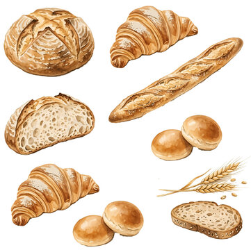Assorted fresh bakery breads and pastries on a white background