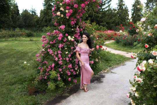 Cute young woman in a pink off-shoulder dress standing among blooming rose bushes in a lush summer garden. Romantic outdoor portrait with colorful flowers, natural light, and feminine fashion style