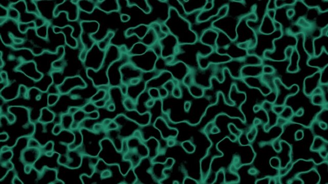 Network pattern animation with green lines. Network pattern abstract digital design. Network pattern technology communication graphic on black background.