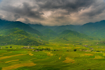 Fototapeta premium Rice terrace Field Green agriculture rainny season dark cloud amazing landscape. Sustainable Ecosystem rice paddy field Vietnam green nature farm land. Golden green rice terraces tropical landscape