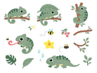 Fototapeta premium Set of cute chameleons, branches, leaves, flowers and insects in flat cartoon style for kids design and jungle theme