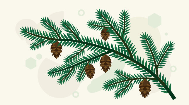 Pine tree branch with cones.