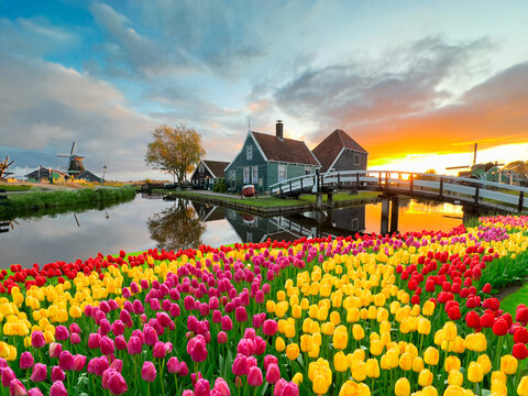 rural dutch country skyline of small old town Zaanse Schans at sunset, Netherlands at spring
