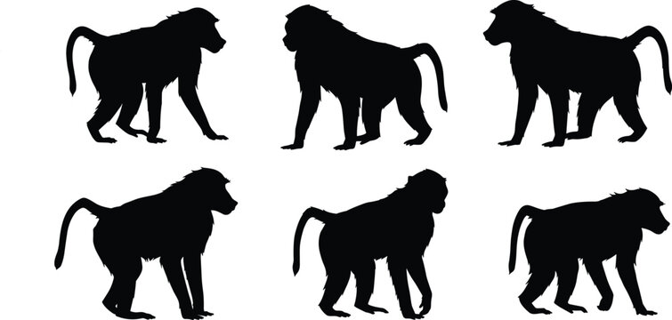 Baboon silhouette illustrations, black vector, standing pose, tail variation, profile view, animal design, character set, wildlife art