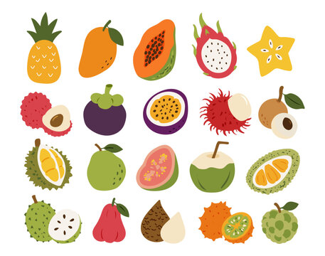 Set of different tropical fruits and berries. Collection of organic vitamins and healthy nutrition.