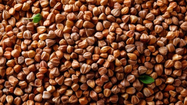 Brown buckwheat groats are evenly spread on a flat surface, showcasing their natural earthy tones and textures. This scene invites creativity and healthy culinary adventures