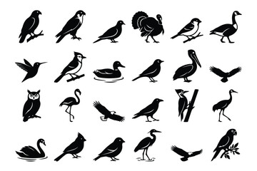 Fototapeta premium Black and white bird silhouettes collection featuring eagle owl flamingo and parrot icons.