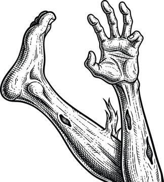 Monochrome of a skeletal arm and hand with wounds bones