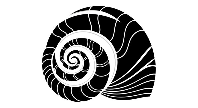 Elegant Black and White Spiral Seashell Design.