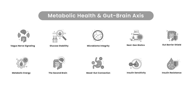 Metabolic Health and Gut-Brain Axis Icon Set: Microbiome, Vagus Nerve, Insulin Resistance, and Glucose Stability. Vector Editable Stroke and Colors.