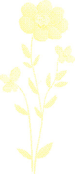 Delicate yellow flowers and leaves on a white background with copy space for design