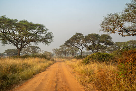Red dirt road through the wooded savannah in Uganda