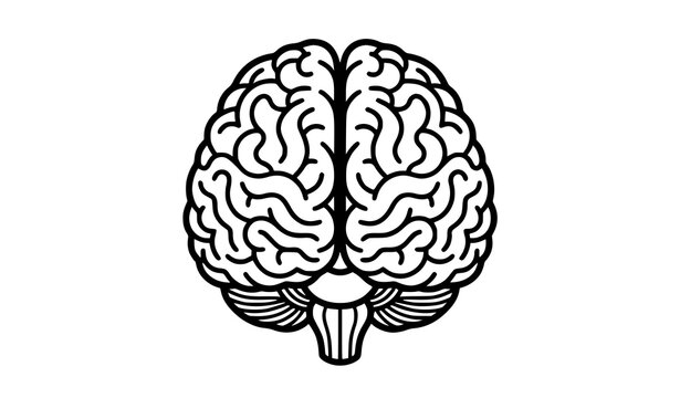 Front View Human Brain Monochrome Vector Illustration for Medical and Educational Design