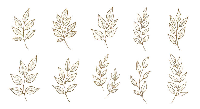 Hand Drawn Gold Branch Leaf Element Set Sketch Golden Doodle Leaves Floral Foliage for Elegant Wedding Invitation Background Luxury Botanical Illustration Decorative Nature Design Collection
