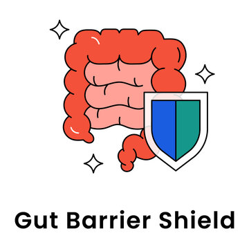 Gut Barrier Shield icon, Intestinal Protection Concept for Digestive Health and Immunity Defense, Medical Anatomy Symbol for Gastrointestinal Tract Security and Microbiome Shield icon