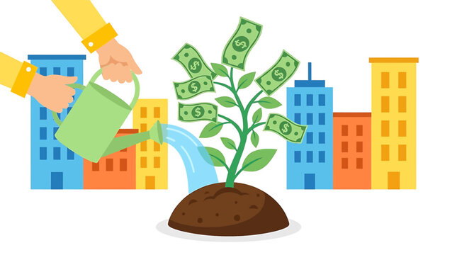 money tree plant pics Braided Money Tree – Hey Rooted main image 1